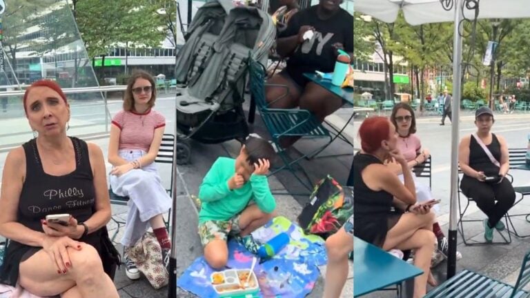 ‘Just Say You’re a Bigot’: Pennsylvania Parkgoer Accused of Denying Black Child Playtime and Urging Segregation