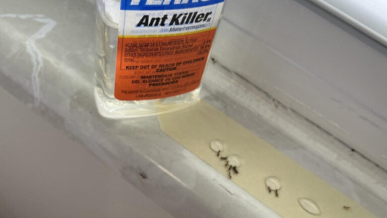 An ‘Infinite Ant Buffet’ Has Been Going for a Month. Is the Ant Bait Actually Working? Half a bottle of ant bait by a window sill