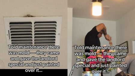 ‘Landlord Special’: Florida Woman Complained About Mold, and the ‘Fix’ Went Viral