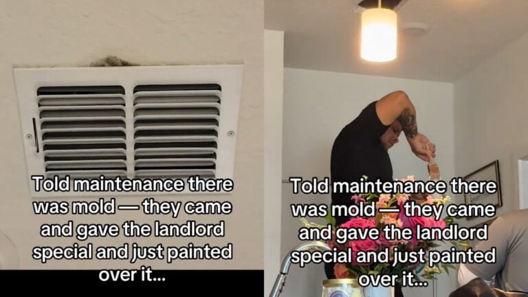 ‘Landlord Special’: Florida Woman Says She Found Mold, and Her Landlord’s ‘Fix’ Goes Viral ‘Landlord Special’: Florida Woman Complained About Mold, and the ‘Fix’ Went Viral