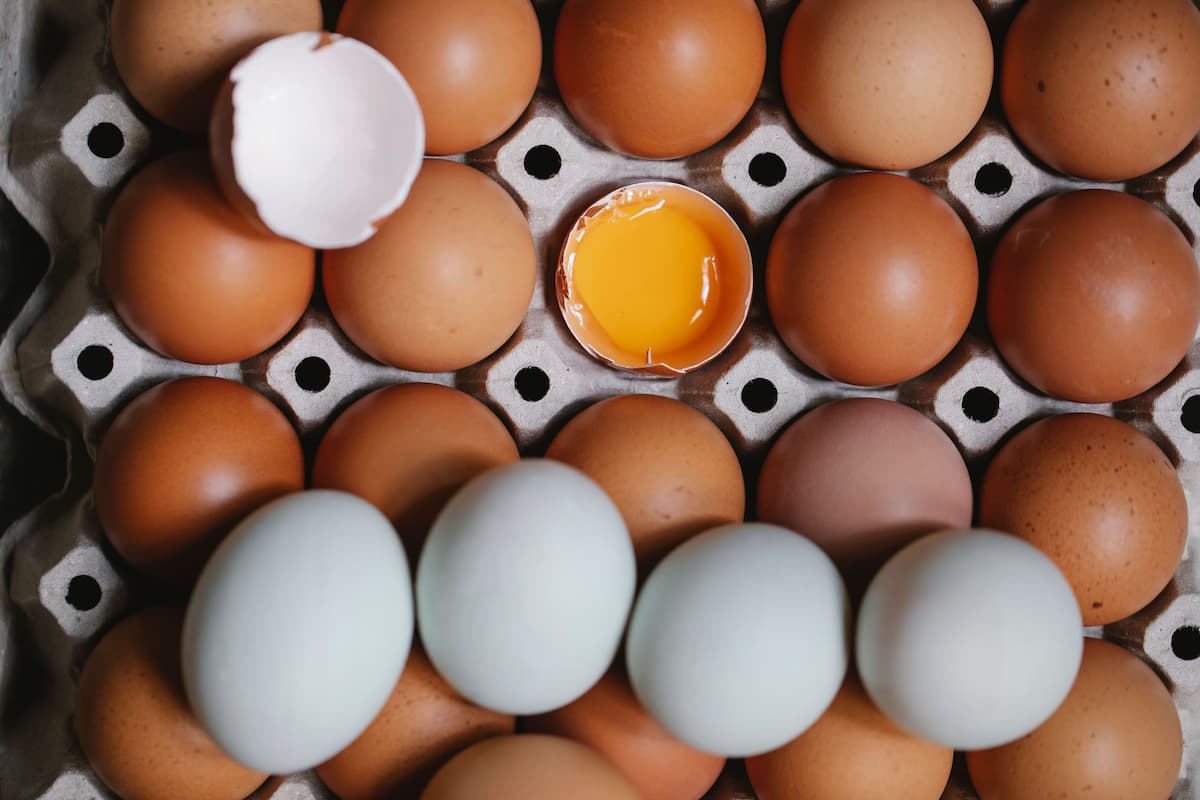 ‘Make America Hurl Again’: Texas Egg Crisis Ignites Political Fury as Locals Blast Republicans’ Lack of Government Oversight