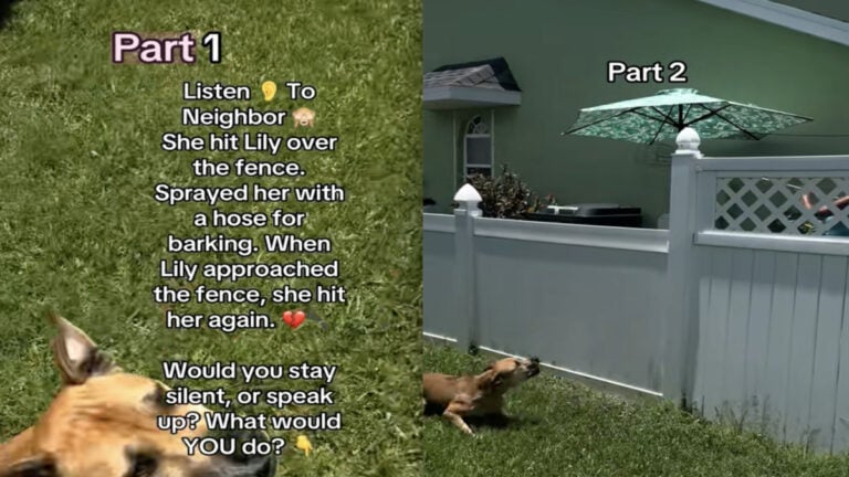 Florida Woman Confronts Neighbor When She Sees Them Harassing and Provoking Her Dog