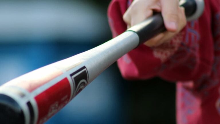 New Mexico baseball bat, car incident