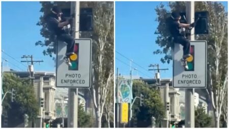 California flock camera incident