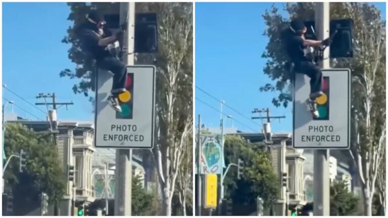 California flock camera incident