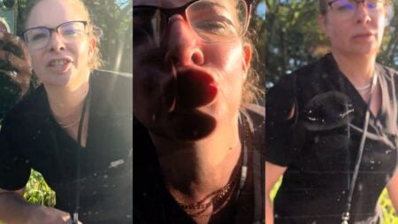 ‘Please Tell Me You Called the Police’: Boston Road Rage Video Has TikTok Playing Detective Woman in scrubs approach car window.
