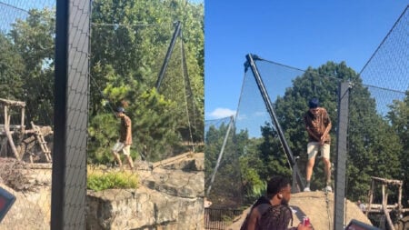 Missouri-Man-Casually-Leaves-Tiger-Enclosure-at-Zoo-in-Viral-Video