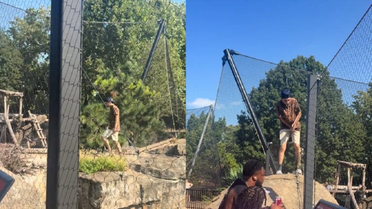Missouri Man Casually Leaves Tiger Enclosure at Zoo in Viral Video: ‘The zoo is free. But not THAT free.’ Missouri-Man-Casually-Leaves-Tiger-Enclosure-at-Zoo-in-Viral-Video