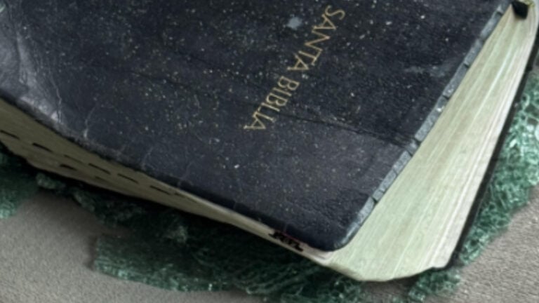 ‘I Thought Lefties Hated Christianity’: Bible and Broken Glass Left Behind After Washington ICE Arrest, Resident Says Bible and Broken Glass Left Behind After Seattle ICE Arrest Resident Says