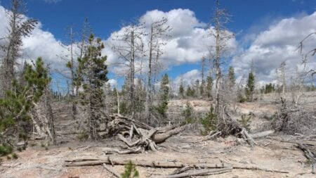 Minnesota Republican Climate Change Claims