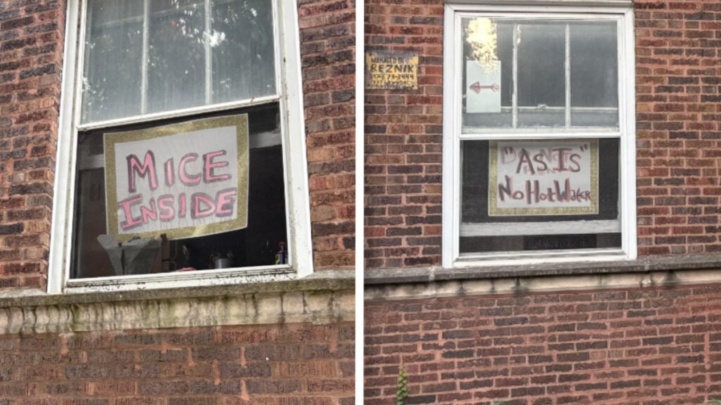 Illinois Renters Warn Future Tenants About No Hot Water and Mice at a Chicago Apartment