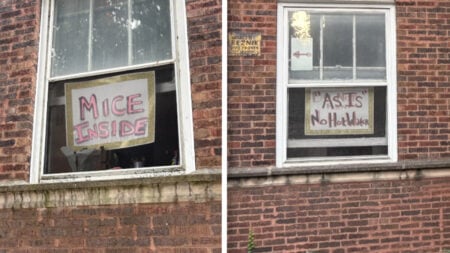 ‘This Is Insane’: Illinois Renters Warn Future Tenants About No Hot Water and Mice at a Chicago Apartment Illinois Renters Warn Future Tenants About No Hot Water and Mice at a Chicago Apartment