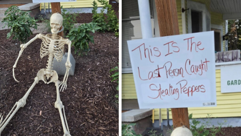 ‘We Are Not a Community Garden!’: Fed-Up Michigan Homeowner Says Entitled Older Neighbor Steals Vegetables, Then Thanks Them Afterwards Funny neighborhood solution to stop garden produce thievery