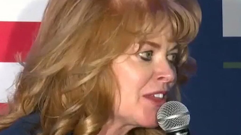 Pennsylvania Gov. Candidate Stacy Garrity Slammed After Reportedly Accepting Contributions From Data Center Developer: ‘Sold out for only $10k?’