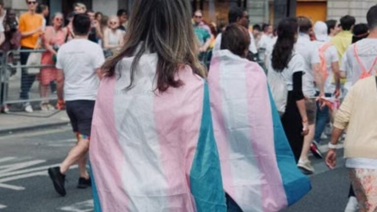 Trans Ally Political Violence Study