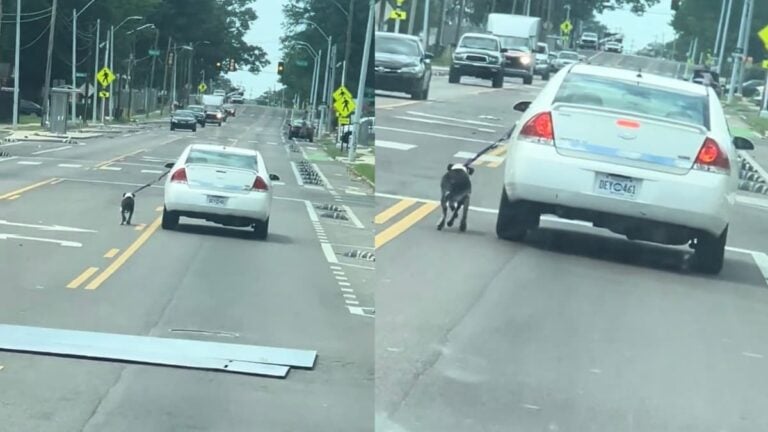 Outrage After Tennessee Man Drives Car While Dog Is Leashed Outside It: ‘That’s So Evil’ A picture of Tennessee man inside car.