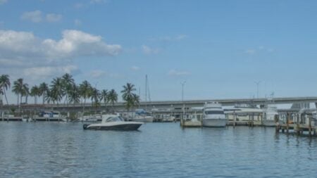 Florida Locals Debating On What’s More Chaotic: GTA 6 Or Miami: ‘No Bank Robberies. We Have Medicaid Fraud’ Florida GTA 6