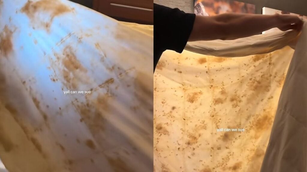 TikToker’s Michigan Hotel Blanket Freakout Sparks Mold vs. Cotton Debate Online: ‘Feathers or Not, That’s Gross-Looking’ TikToker’s Michigan Hotel Blanket Freakout Sparks Mold vs. Cotton Debate Online