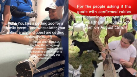 North Carolina Family’s Petting Zoo Visit Ends With Rabies Scare: ‘I’m Pretty Sure This Treatment Is $$$$’ North Carolina Family’s Petting Zoo Visit Ends With Rabies Scare: ‘I’m Pretty Sure This Treatment Is $$$$'