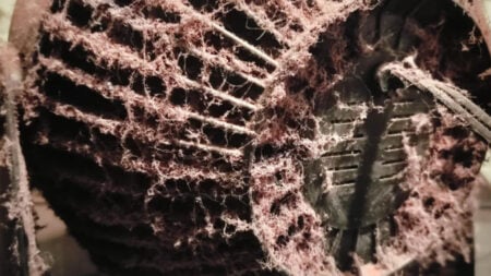 Minnesota Renter Reveals Roommate’s Filthy Fan Running 24-7