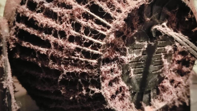 Minnesota Renter Reveals Roommate’s Filthy Fan Running 24-7