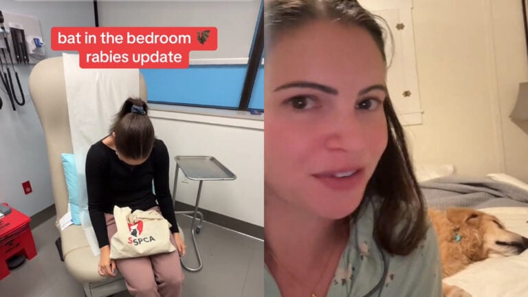 California Woman Claims Cabin Stay Ended With a Rabies Shot: ‘Call the Health Dept on Her’ California Woman Claims Cabin Stay Ended With a Rabies Shot: 'Call the Health Dept on Her'