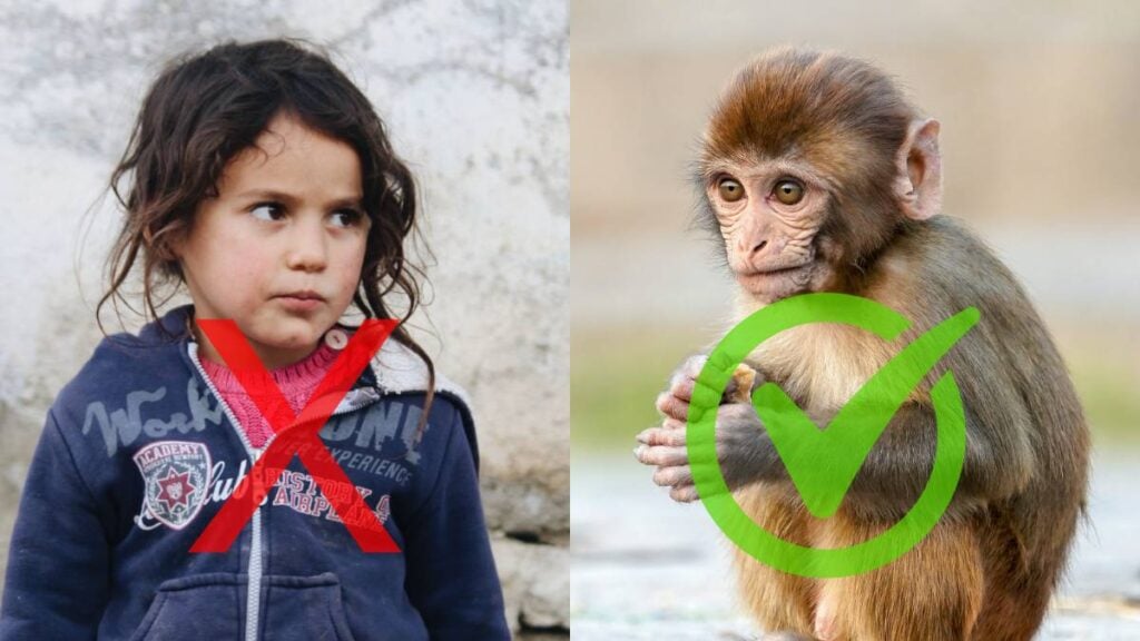 Outrage as Missouri Foster Mom Accused of Trading Child for Monkey Walks Free: ‘This Isn’t Justice’ Missouri Foster mom child monkey