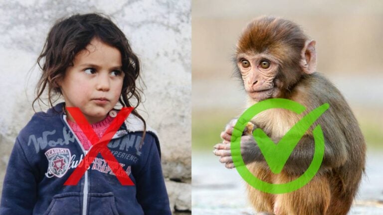 Outrage as Missouri Foster Mom Accused of Trading Child for Monkey Walks Free: ‘This Isn’t Justice’ Missouri Foster mom child monkey