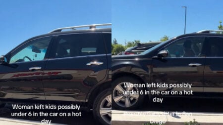 alifornia-Woman-Calls-Police-on-Babysitter-For-Leaving-Kids-in-Car-While-Shopping