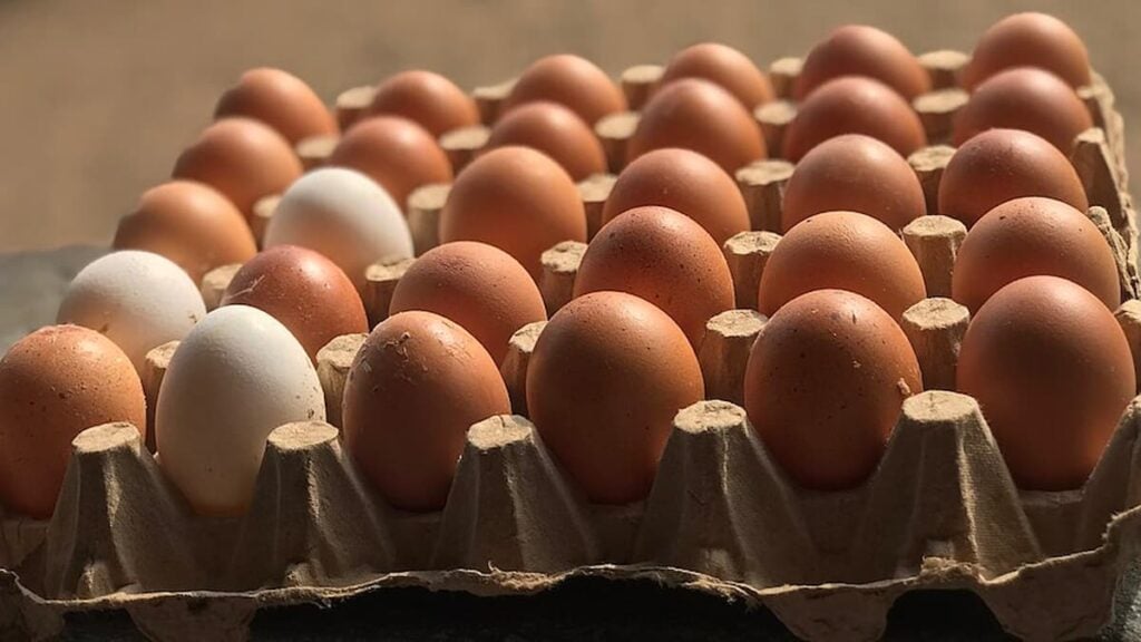 A crate of eggs