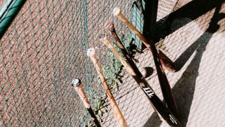 ‘Why Is That Beekeeper Falsely Imprisoning You?’: Oregon Dog Owner Says Woman Locked Her Inside Baseball Field Baseball bats leaning against a fence.
