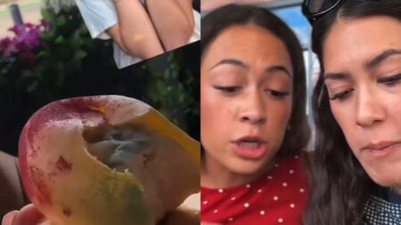 Michigan Women Discovers Mold Inside Her Fruit Mousse: ‘Why Would You Keep Eating After That First One?’ Michigan Women Discovers Mold Inside Her Fruit Mousse: 'Why Would You Keep Eating After That First One?'