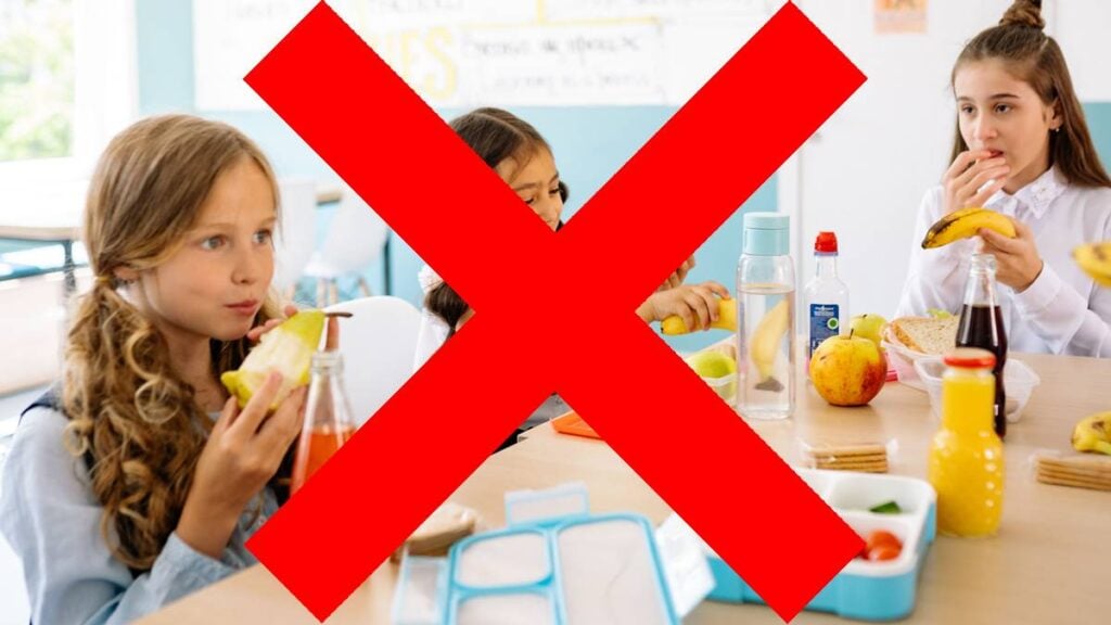 Outrage After North Dakota Senators Blocked Bill To Provide Free Meals to Every K-12 Student: ‘Kids Eating Food is Socialism’