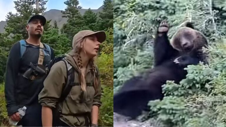 Montana Hikers Encounter Grizzly Bear Who Puts on an Adorable Show