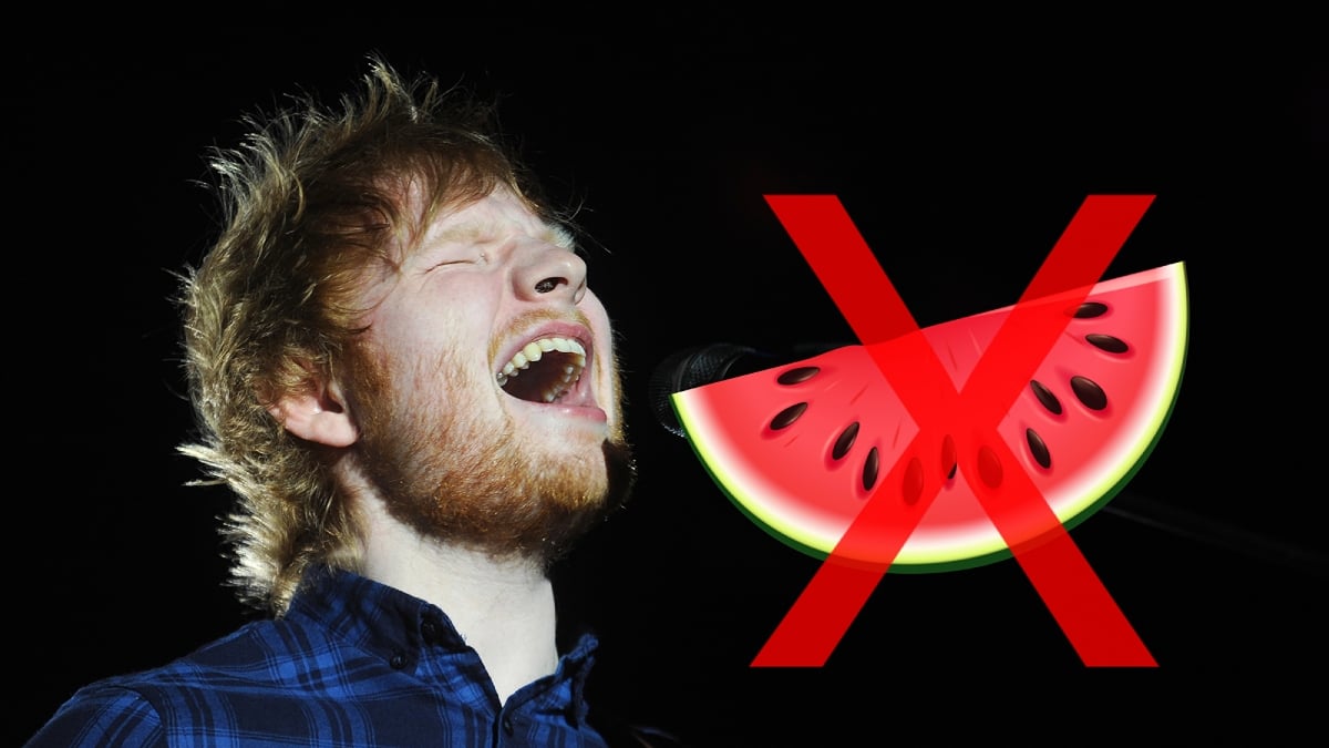Several Singers Leave Ed Sheeran Concert in Philadelphia After Macklemore is Axed Over Palestine Support: ‘Money Doesn’t Give You the Right to Own the Conversation’