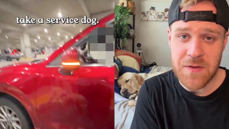 Tennessee Man’s Lyft Driver Sees Service Dog and Drives Away: ‘Don’t Be a Driver if You Won’t Carry Service Animals’ Tennessee Man’s Lyft Driver Sees Service Dog and Drives Away: 'Don’t Be a Driver if You Won’t Carry Service Animals’