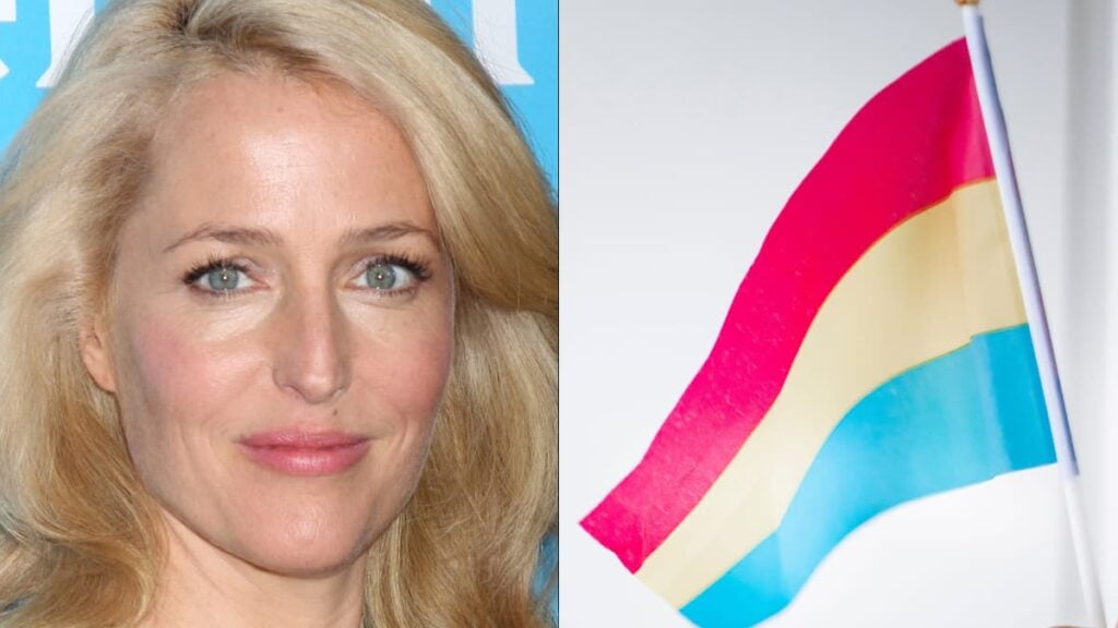 Illinois Actress Gillian Anderson Mocked After Coming Out as Pansexual: ‘Hollywood Ruins Everything’ A picture of Illinois actress Gillian Anderson and a pansexual flag.