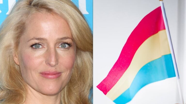 A picture of Illinois actress Gillian Anderson and a pansexual flag.
