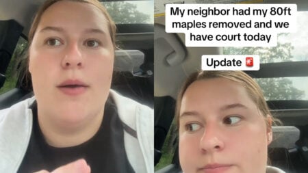Michigan Woman Says Neighbor Cut Her Trees, Then Faced a Bigger Court Case: 'I Stand With the Lorax'