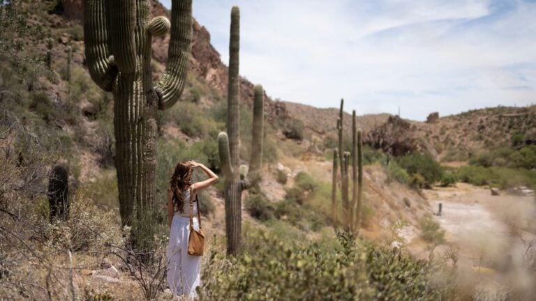 ‘You Son of a Biscuit-Eating Bulldog’: Arizona Named America’s Least Foul-Mouthed State, and Locals Aren’t Having It Arizona