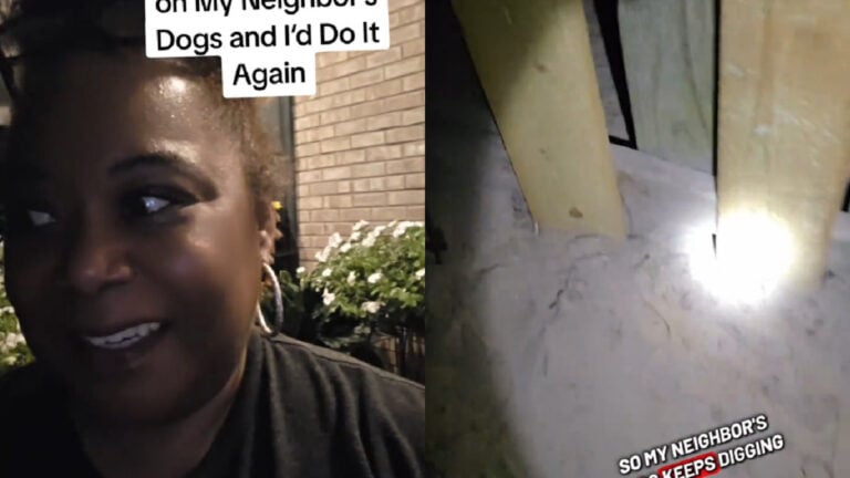 North-Carolina-Woman-Calls-Sheriff-on-Neighbor-For-Letting-Dogs-Destroy-Her-Fence