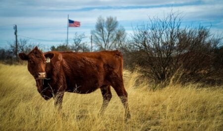 Texas farmers cost of living