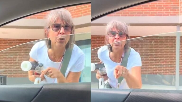Illinois Woman Admits She’s Racist While Yelling at Black Man for Parking in Front of Store: ‘Trump Made Hate Great Again’ A picture of Illinois woman.