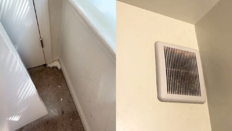 ‘I see all the mouse poop’: Maryland Tenant Claims She’s Been Evicted For Filing Complaints on ‘Unsafe’ Living Conditions Maryland-Tenant-Claims-Shes-Been-Evicted-For-Filing-Complaints-on-Unsafe-Living-Conditions