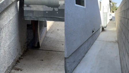 California Woman Suspects Something Is Living Beneath Her Home, Sets up Camera: 'Go Check Your Crawl Space'