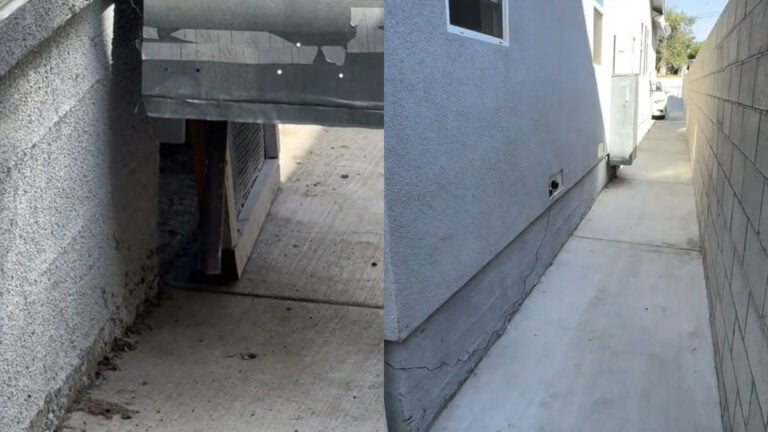 California Woman Suspects Something Is Living Beneath Her Home, Sets up Camera: 'Go Check Your Crawl Space'