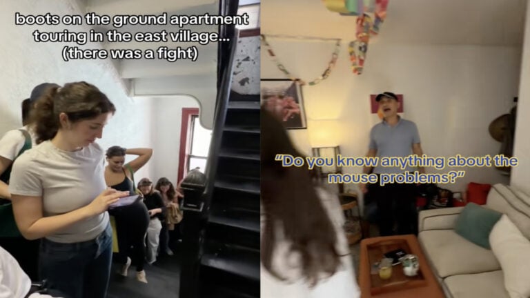 New York City Woman Asks All the Real Questions Regarding Mice at Apartment Showing, Upsetting Realtor: ‘She’s a Real One for This’ New York City Woman Asks All the Real Questions Regarding Mice at Apartment Showing, Upsetting Realtor