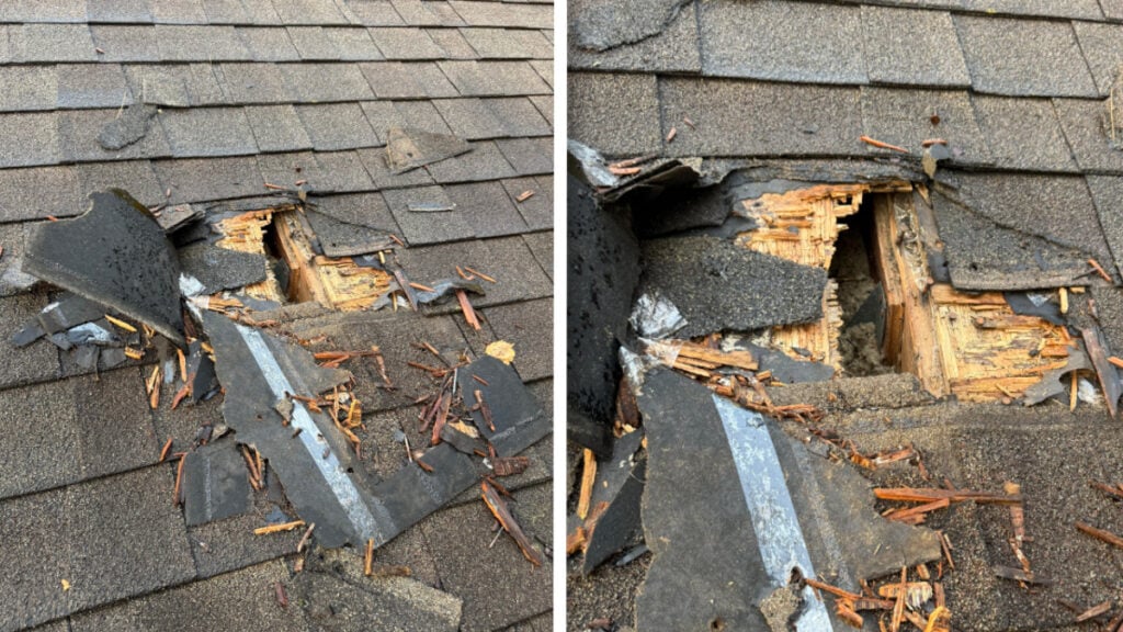 Shocked Indiana Woman Discovers Hole Torn Straight Through Her Roof: ‘Unauthorized Tenants in the Attic’ Shocked Indiana Homeowner Discovers Something Tore a Hole Through Their Roof