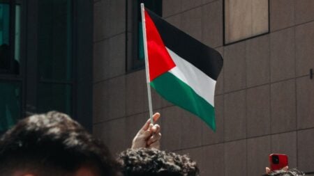 Massachusetts Woman Spits on Pro-Palestine Protesters Before Breaking Into Bizarre Dance Moves: ‘That’s Disgusting’ People demonstrating in an urban environment, holding a Palestinian flag.