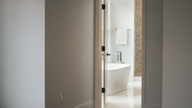 A glimpse into a modern bathroom with a sleek bathtub